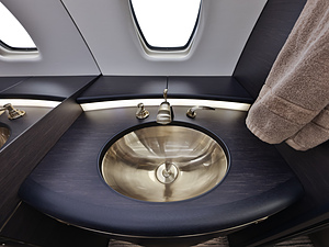Cessna Citation Sovereign | Private Full Sink with a Window